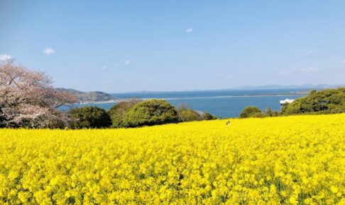 能古島