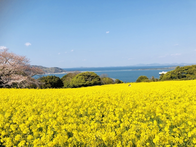 能古島